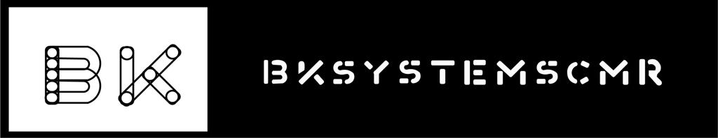 BK Systems Logo